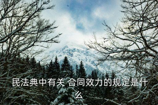  民法典中有關 合同效力的規(guī)定是什么