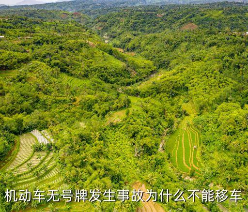 機(jī)動(dòng)車(chē)無(wú)號(hào)牌發(fā)生事故為什么不能移車(chē)