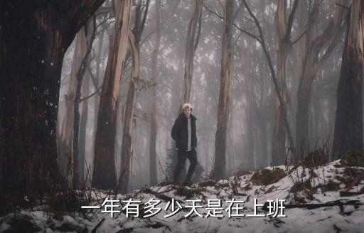  一年有多少天是在上班