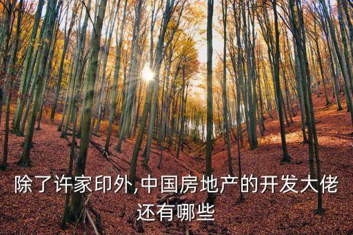萬(wàn)科的老板是誰(shuí),萬(wàn)達(dá)和萬(wàn)科的老板是誰(shuí)