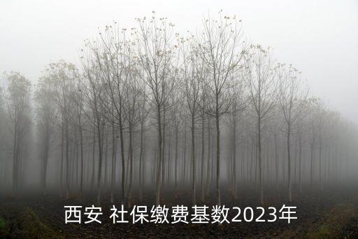  西安 社保繳費基數(shù)2023年
