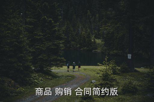 商品 購(gòu)銷(xiāo) 合同簡(jiǎn)約版