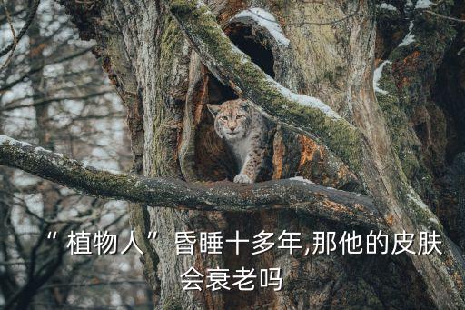 “ 植物人”昏睡十多年,那他的皮膚會(huì)衰老嗎