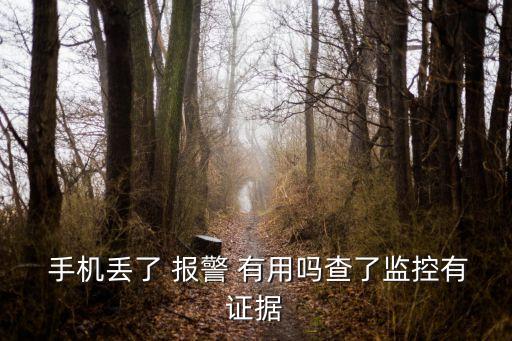  手機丟了 報警 有用嗎查了監(jiān)控有證據(jù)