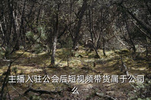  主播入駐公會(huì)后短視頻帶貨屬于公司么