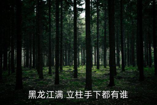 哈爾濱滿立柱