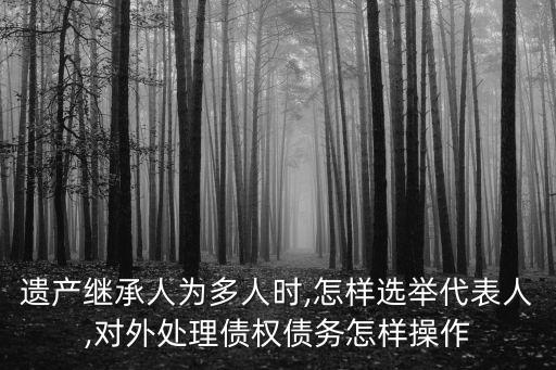 遺產(chǎn)繼承人為多人時(shí),怎樣選舉代表人,對(duì)外處理債權(quán)債務(wù)怎樣操作