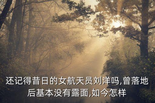 還記得昔日的女航天員劉洋嗎,曾落地后基本沒(méi)有露面,如今怎樣