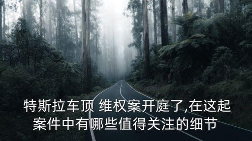  特斯拉車頂 維權(quán)案開庭了,在這起案件中有哪些值得關(guān)注的細(xì)節(jié)