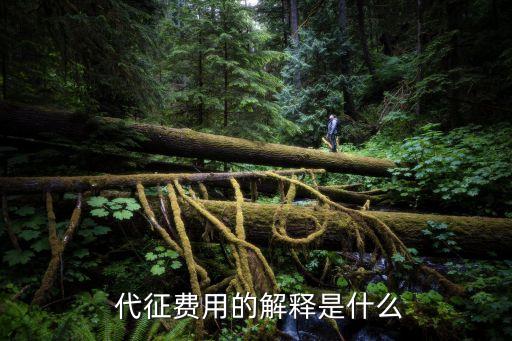 代征