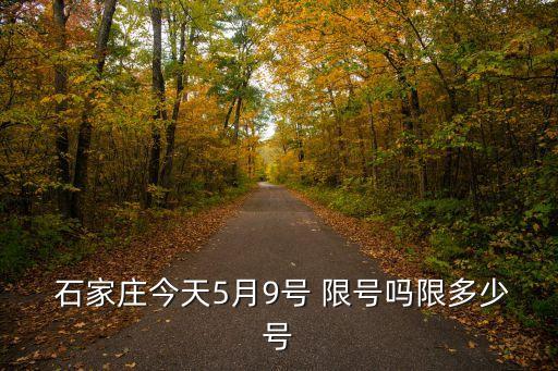  石家莊今天5月9號(hào) 限號(hào)嗎限多少號(hào)