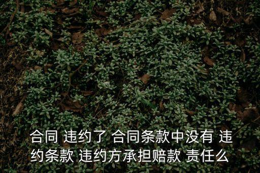 如果合同中沒(méi)有規(guī)定違約責(zé)任,合同只規(guī)定了一方的違約責(zé)任
