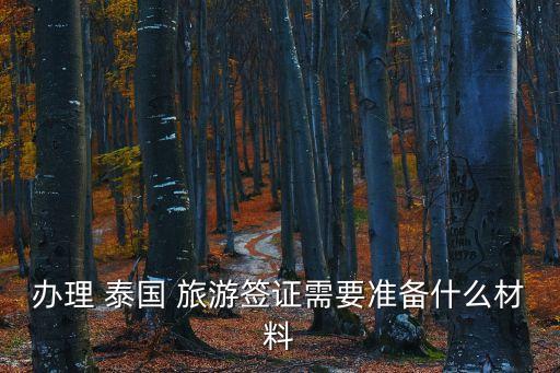 辦理 泰國 旅游簽證需要準(zhǔn)備什么材料