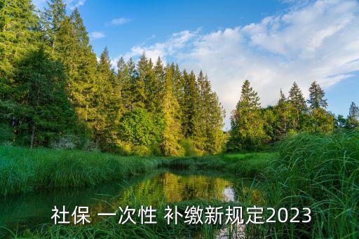 一次性補(bǔ)繳社保