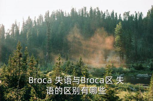 Broca 失語與Broca區(qū) 失語的區(qū)別有哪些