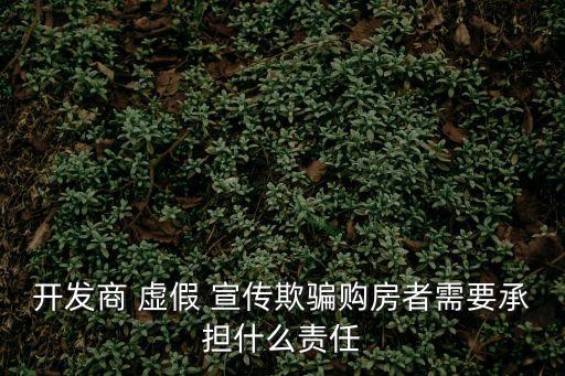 開發(fā)商 虛假 宣傳欺騙購房者需要承擔(dān)什么責(zé)任
