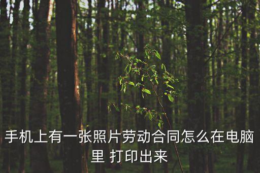 勞務(wù)合同書怎么打印