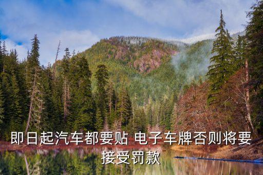 電子牌照,電子版照片怎么拍