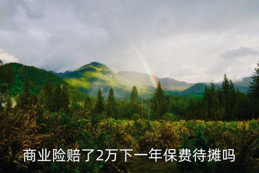 商業(yè)險賠了2萬下一年保費待攤嗎