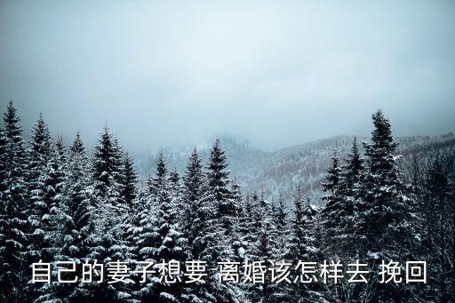 老婆起訴離婚了挽回技巧,離婚律師咨詢免費24小時在線附近
