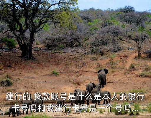 建行的 貸款賬號是什么是本人的銀行卡號嗎和我建行卡號是一個號嗎...