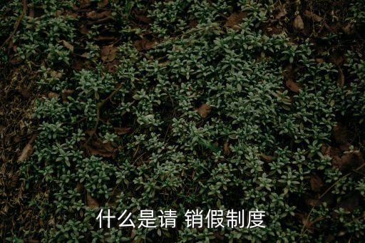 什么是請 銷假制度