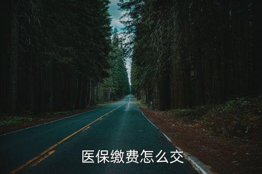  醫(yī)保繳費(fèi)怎么交