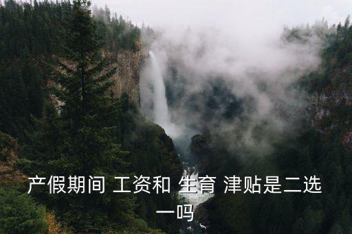 生育津貼和工資