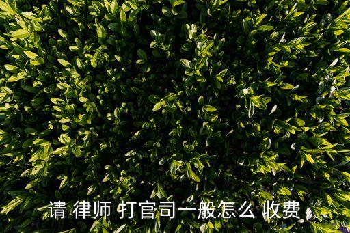 請 律師 打官司一般怎么 收費