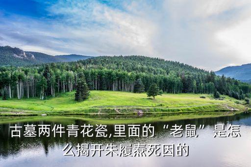 靖江王陵,北有十三陵南有靖江王陵