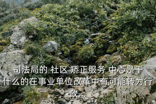 社區(qū)矯正中心,司法局社區(qū)矯正中心