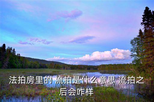 流拍是什么意思,一拍二拍流拍是什么意思