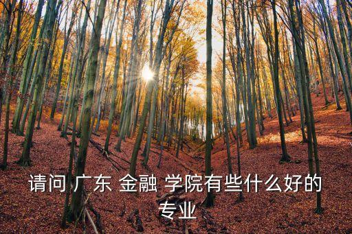 請問 廣東 金融 學院有些什么好的 專業(yè)