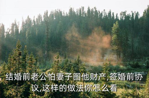 結(jié)婚前老公怕妻子圖他財(cái)產(chǎn),簽婚前協(xié)議,這樣的做法你怎么看