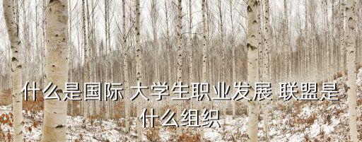 什么是國(guó)際 大學(xué)生職業(yè)發(fā)展 聯(lián)盟是什么組織