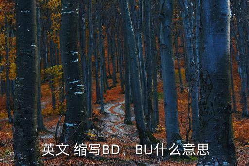  英文 縮寫B(tài)D、BU什么意思