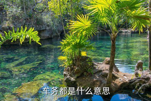 車務是做什么的,4s店車務是做什么的