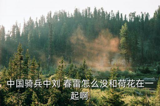 劉春雷
