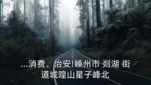 ...消費(fèi)、治安!嵊州市 剡湖 街道城隍山星子峰北