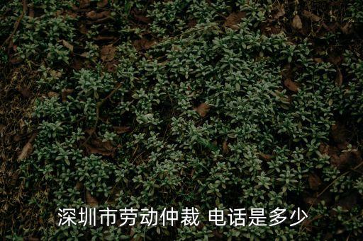 深圳法律熱線電話,都市頻道法律熱線電話
