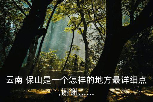 云南 保山是一個(gè)怎樣的地方最詳細(xì)點(diǎn),謝謝……