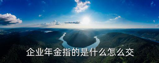  企業(yè)年金指的是什么怎么交