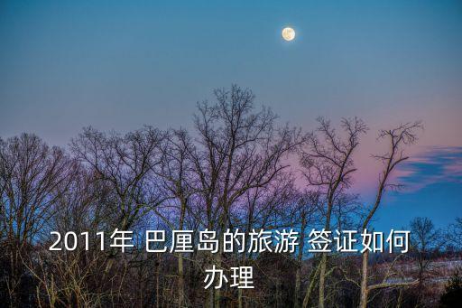 2011年 巴厘島的旅游 簽證如何辦理