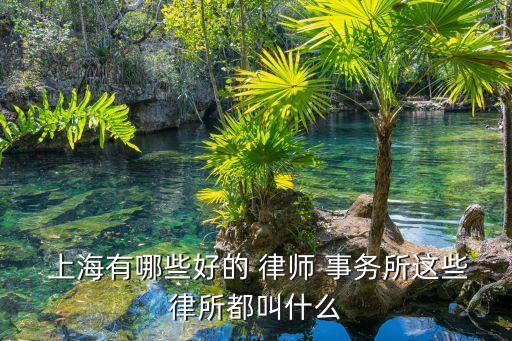  上海有哪些好的 律師 事務(wù)所這些律所都叫什么