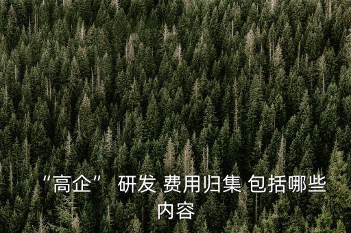 研發(fā)費(fèi)用包括哪些費(fèi)用,哪些費(fèi)用可以計入研發(fā)費(fèi)用