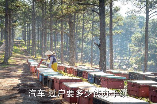 車過戶要多少錢,2022年摩托車過戶要多少錢