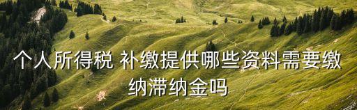 個人所得稅 補繳提供哪些資料需要繳納滯納金嗎