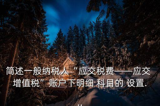 增值稅科目設(shè)置,應(yīng)交稅金應(yīng)交增值稅科目設(shè)置