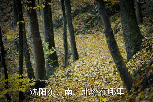 沈陽南塔