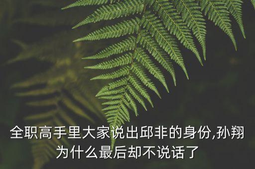 全職高手里大家說(shuō)出邱非的身份,孫翔為什么最后卻不說(shuō)話了